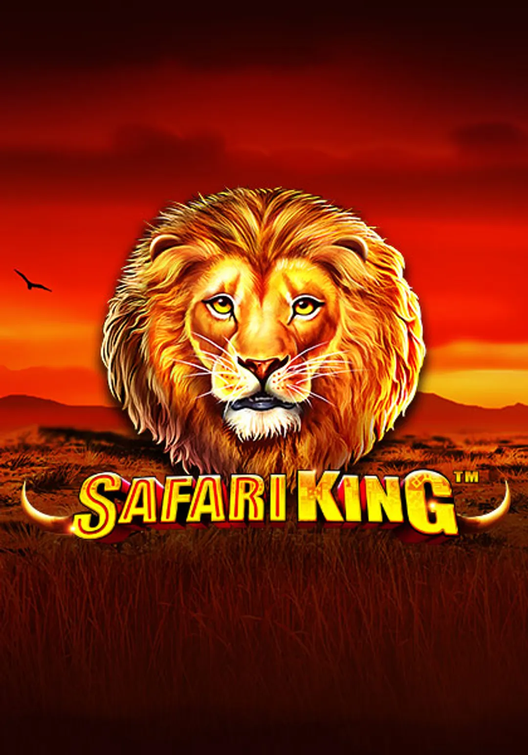 SafariKing